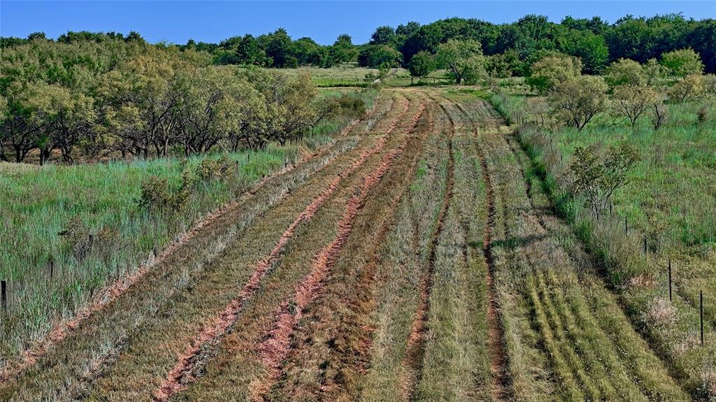 T.E.&L. Co. Survey - Farm