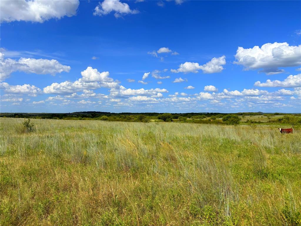 T.E.&L. Co. Survey - Farm