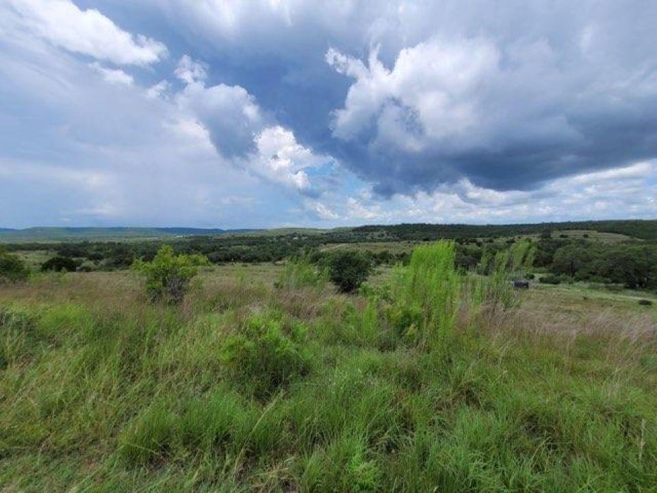 1395 Mountain Creek Road