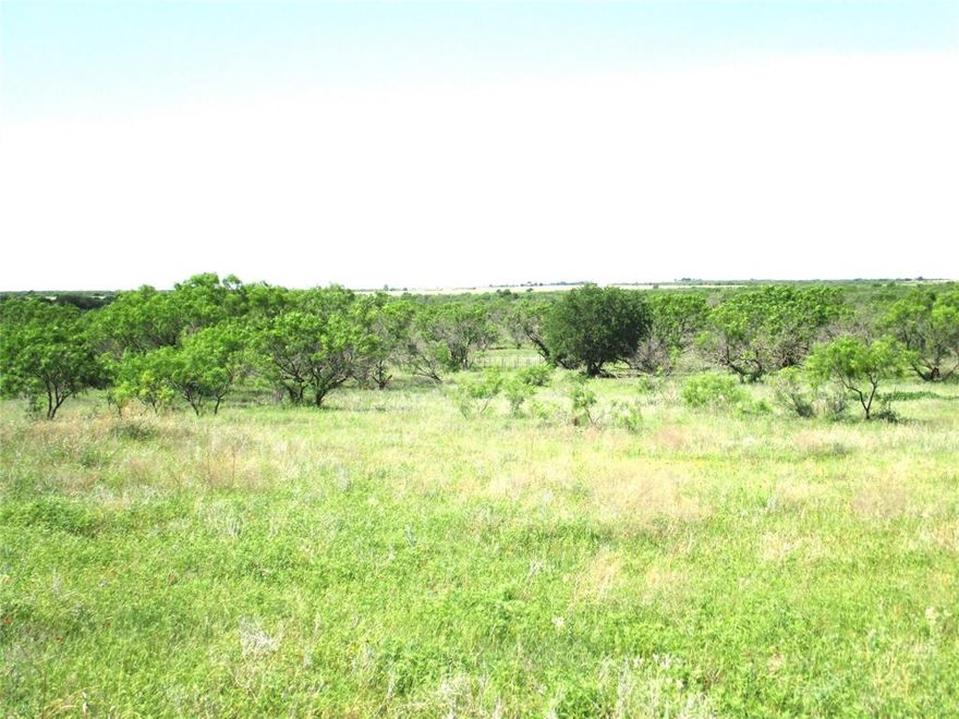 12.87 acres of some great recreational property. In an area of big ranch country where you will find a lot of peace and quiet so come on out and bring the family to explore the tract of land that suits you best. Minimal restrictions so barndo's welcome out here. Electric along road, in area of good water wells no size restrictions so just waiting for that perfect family home. New double wides are allowed here also. Easy access to major roads. Great small town feel with school's short drive away. Aerials and map in pictures. Restrictions in Transactions Several tracts to choose from.