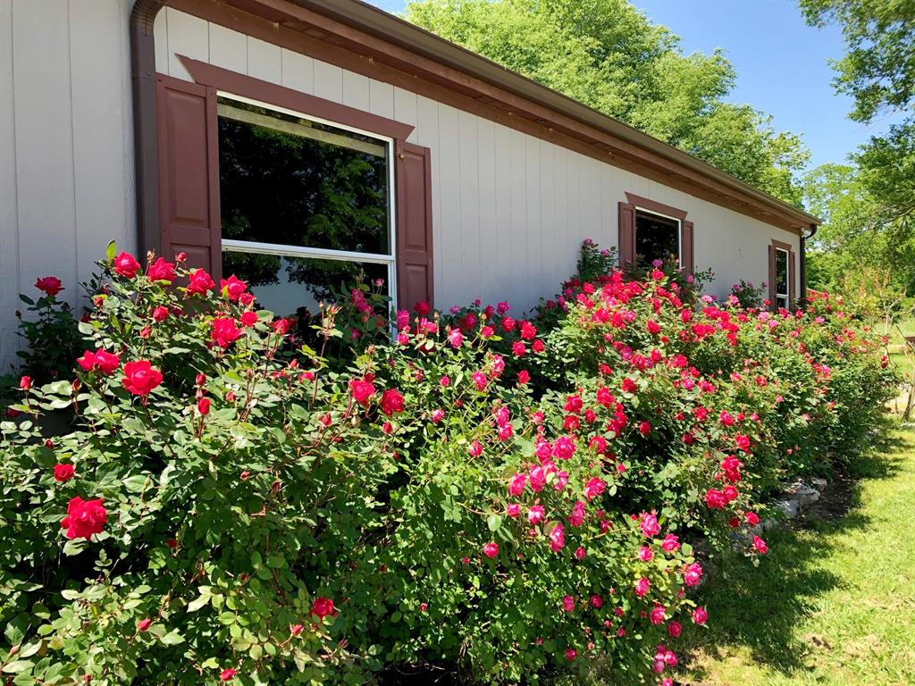 272 County Road 2062