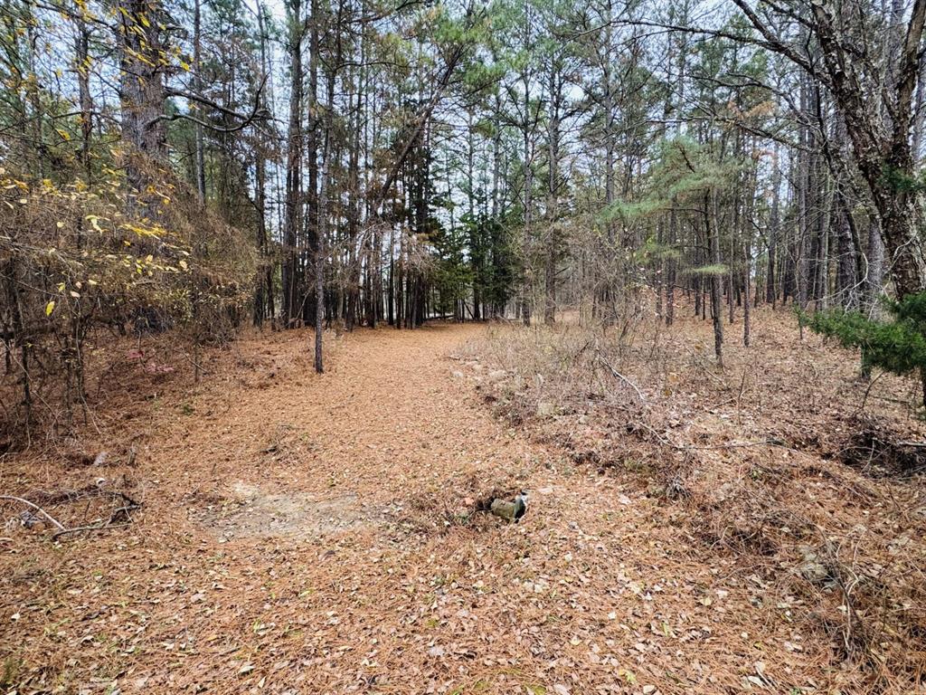 Choctaw Ridge #4 - Residential