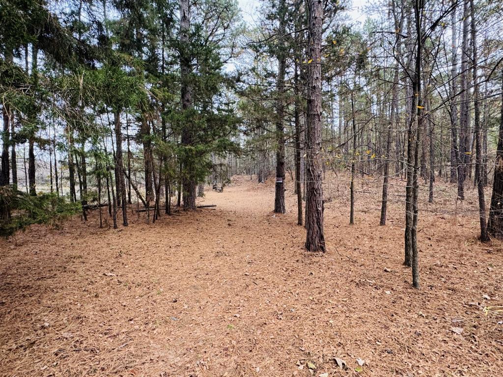 Choctaw Ridge #4 - Residential