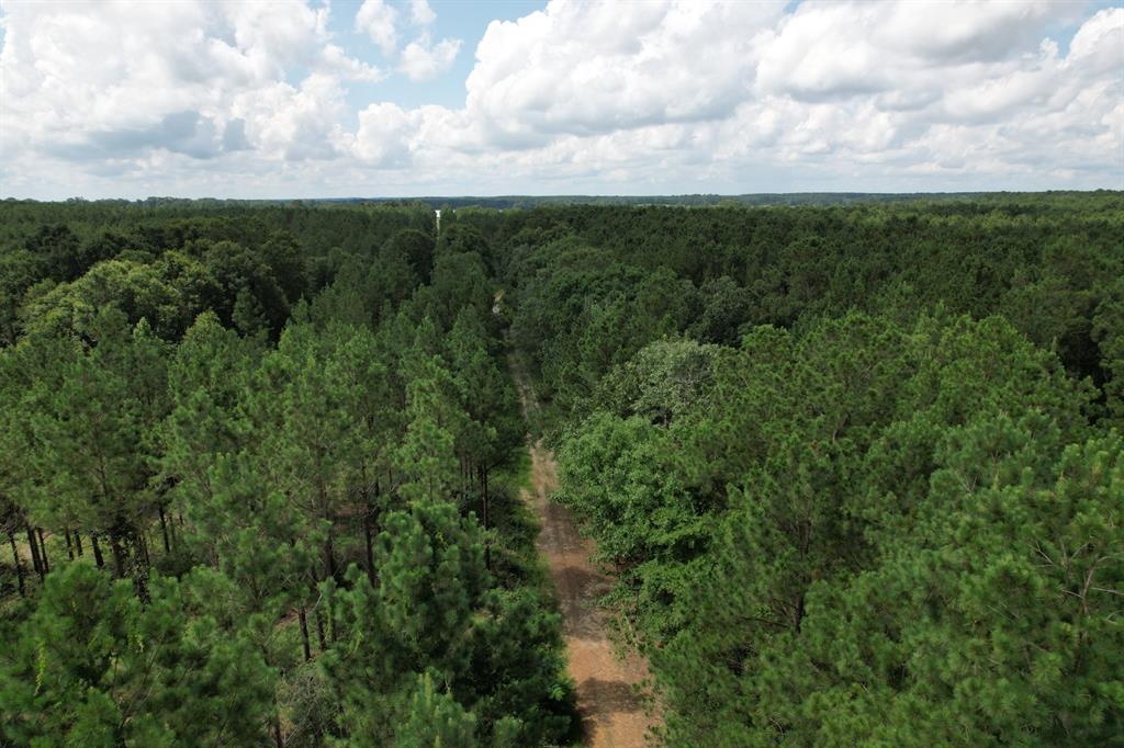 TBD County Road 3706