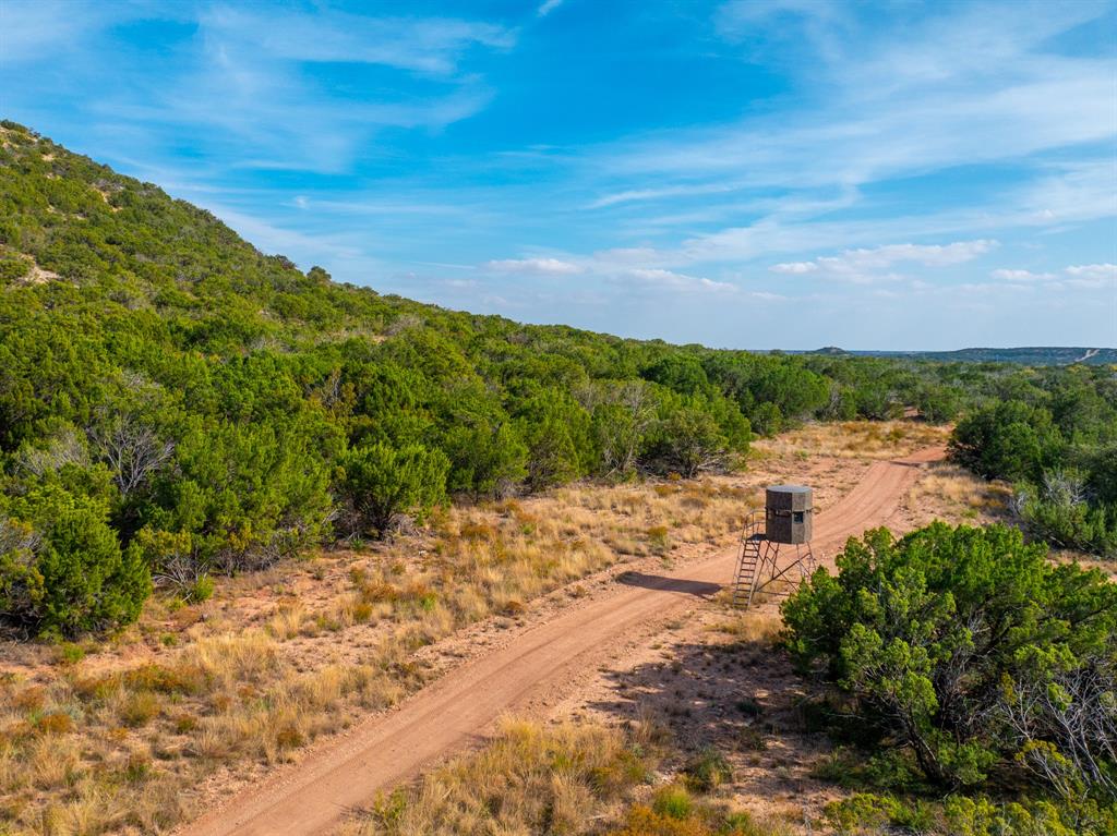 Buffalo4 Ranch CR 290