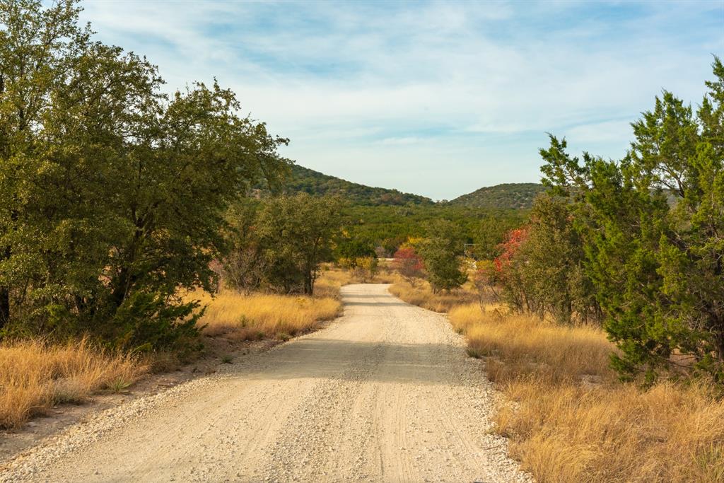Buffalo4 Ranch CR 290