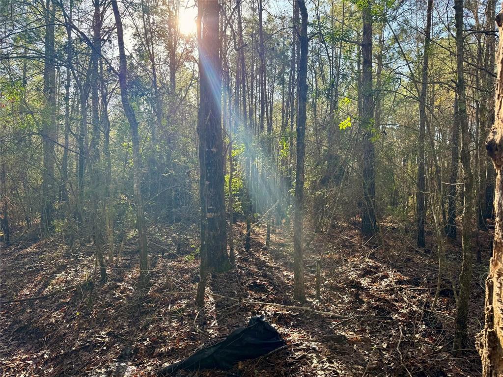 2694 County Road 4020