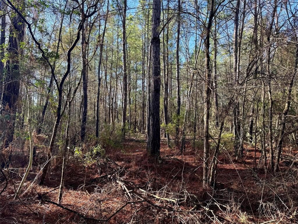 2694 County Road 4020