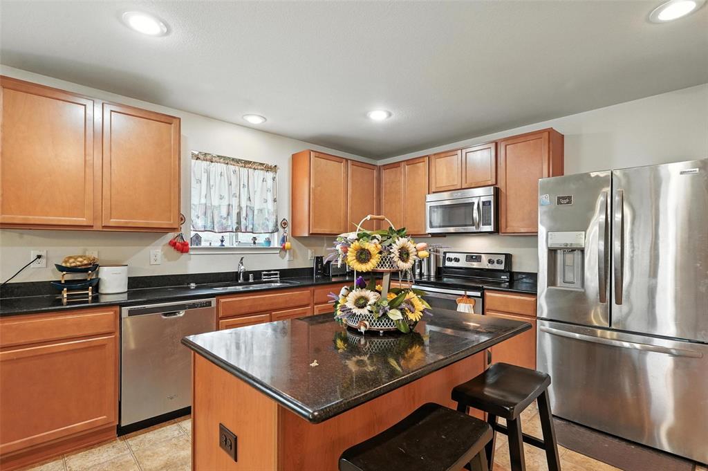 10236 Pyrite Drive