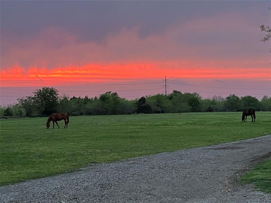 Discover a stunning 6-acre property in Royse City! It's perfectly situated for a quick commute while still offering the peaceful charm of scenic sunsets and open space. There are two 6-acre plots available, with the flexibility to purchase less acreage if desired. Imagine building your dream home and enjoying the sight of deer from your front porch. Whether you're looking for the full parcel or just a couple of acres, let's discuss the options and make it happen. For more information, give me a call today!  Lot lines on pictures are approximate.