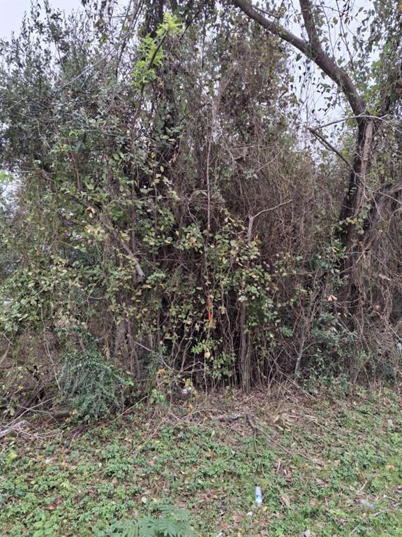 9999 Pin Oak Road Lot 9