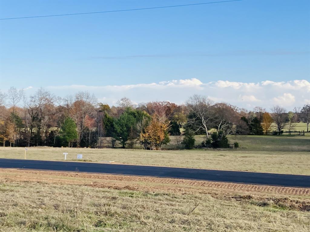 Star Mountain Ranch - Land