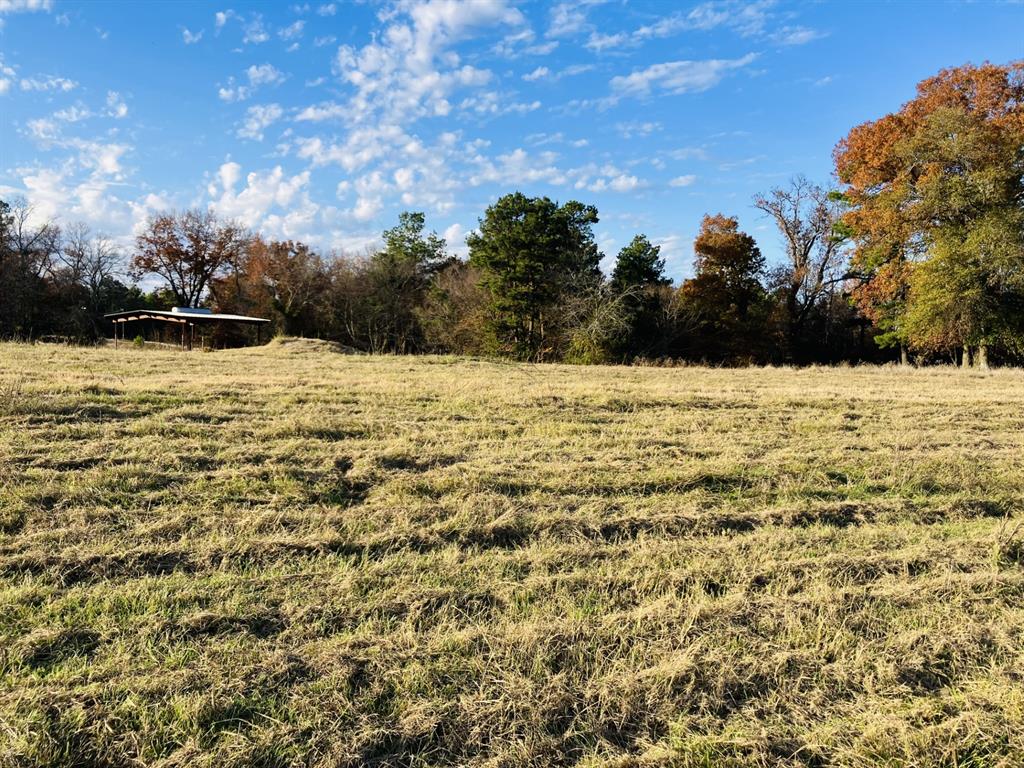 Star Mountain Ranch - Land