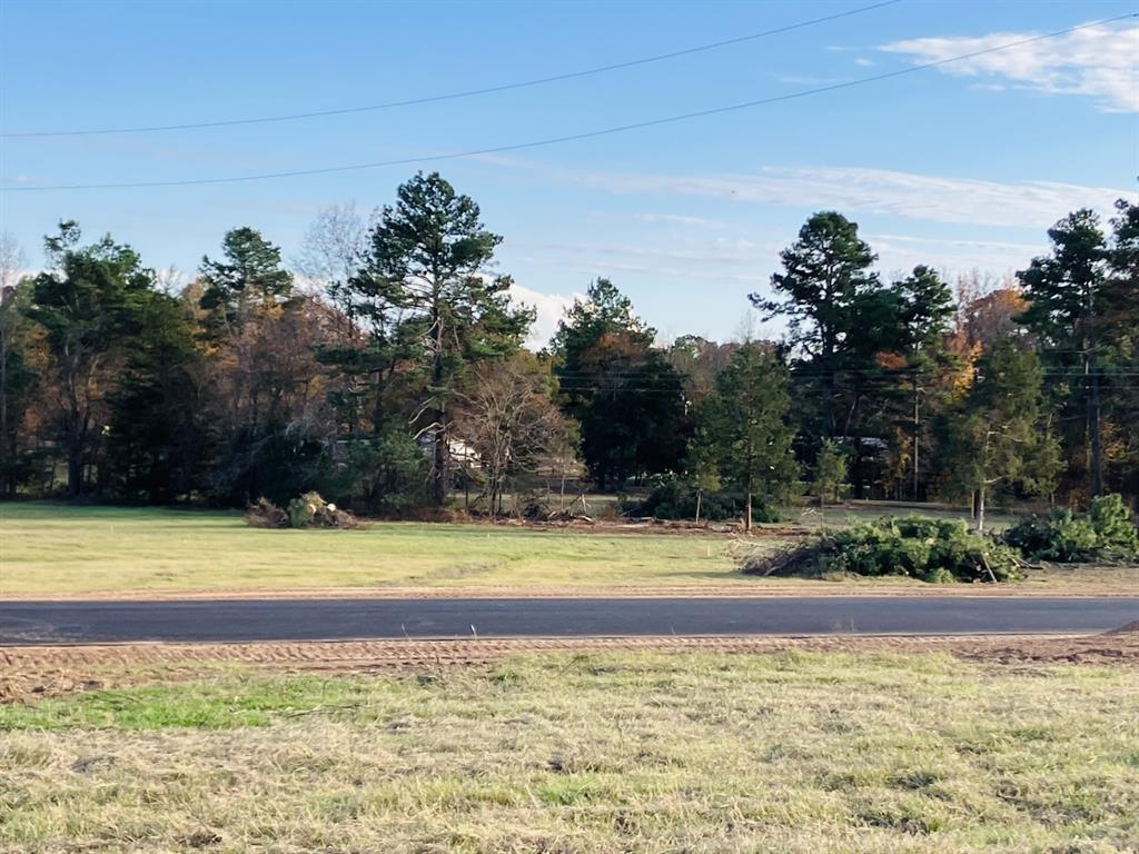 Star Mountain Ranch - Land