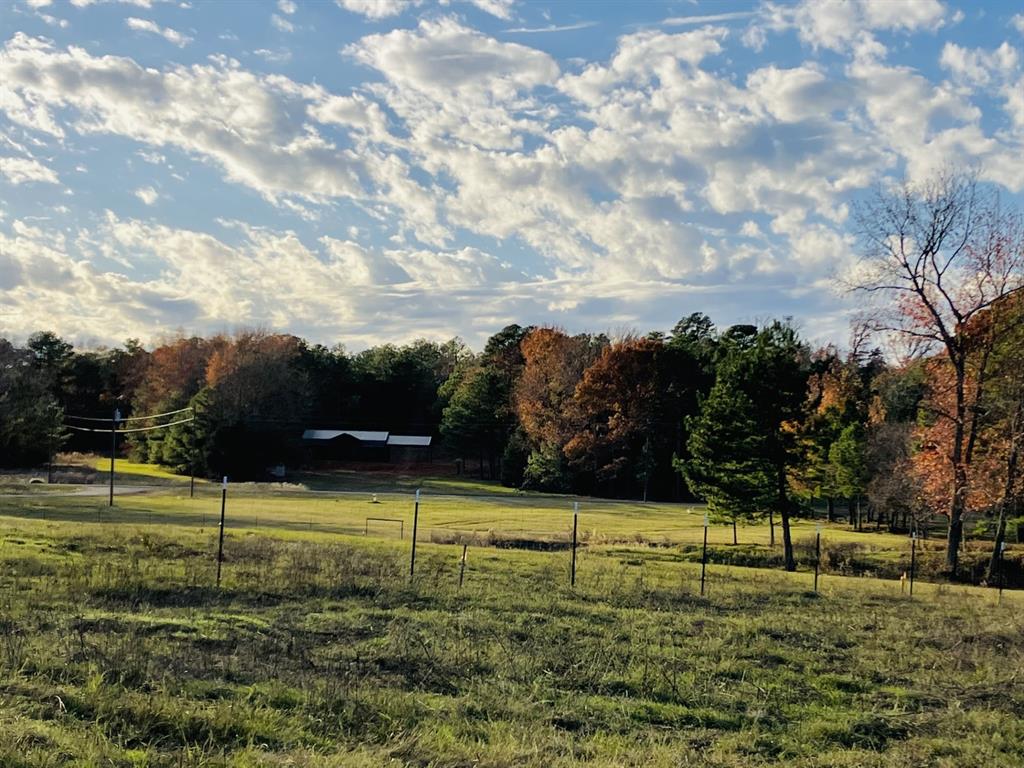 Star Mountain Ranch - Land