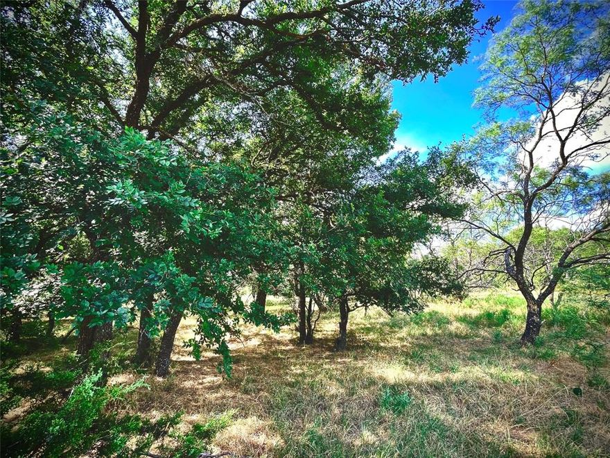 STUNNING RANCHETTES WITH GREAT DIVERSITY AWAITING YOUR CUSTOM RANCH IMPROVEMENTS! Tract 4 offers a partial treed canvas with abundant wildlife and native grasses. This 21.01 acre tract is ideal for your custom home or barndo build with several great building locations secluded among mature post oaks and live oaks. If you're a hunting or wildlife enthusiast, this property would be ideal for your weekend getaway within an hours drive of the DFW Metroplex. This tract has an existing water well in place. Conveniently located to the Cutting Horse Capital (Weatherford), the Historical Baker Hotel (Mineral Wells) and one of the most Iconic Lakes in the World (Possum Kingdom Lake). Imagine the evenings watching the sunset and the peaceful nights looking at the bright stars! Bring the horses, dogs and children and enjoy the country lifestyle!!!