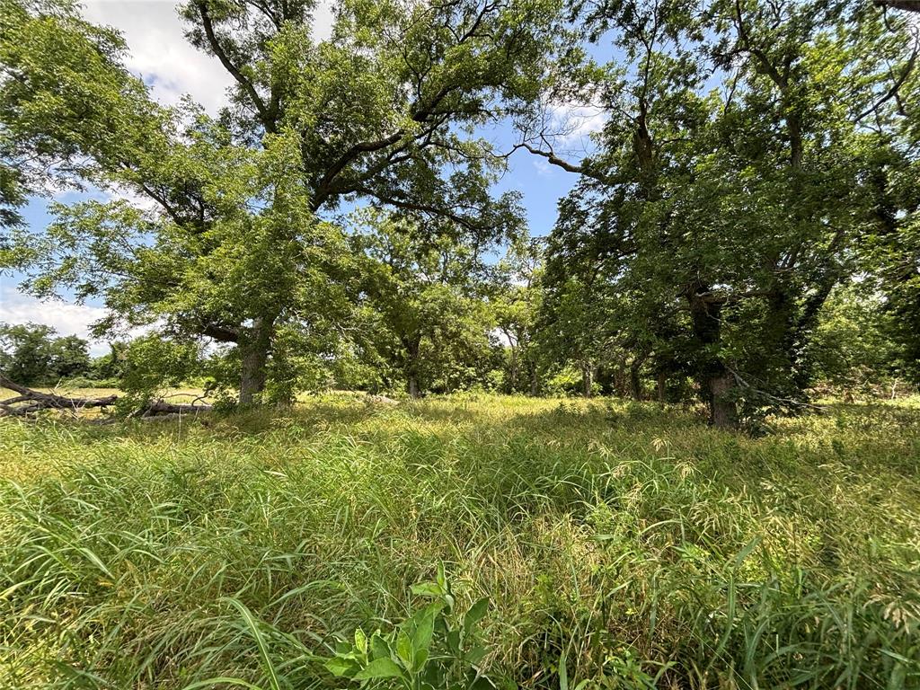 Lot 1 Chisholm Trail