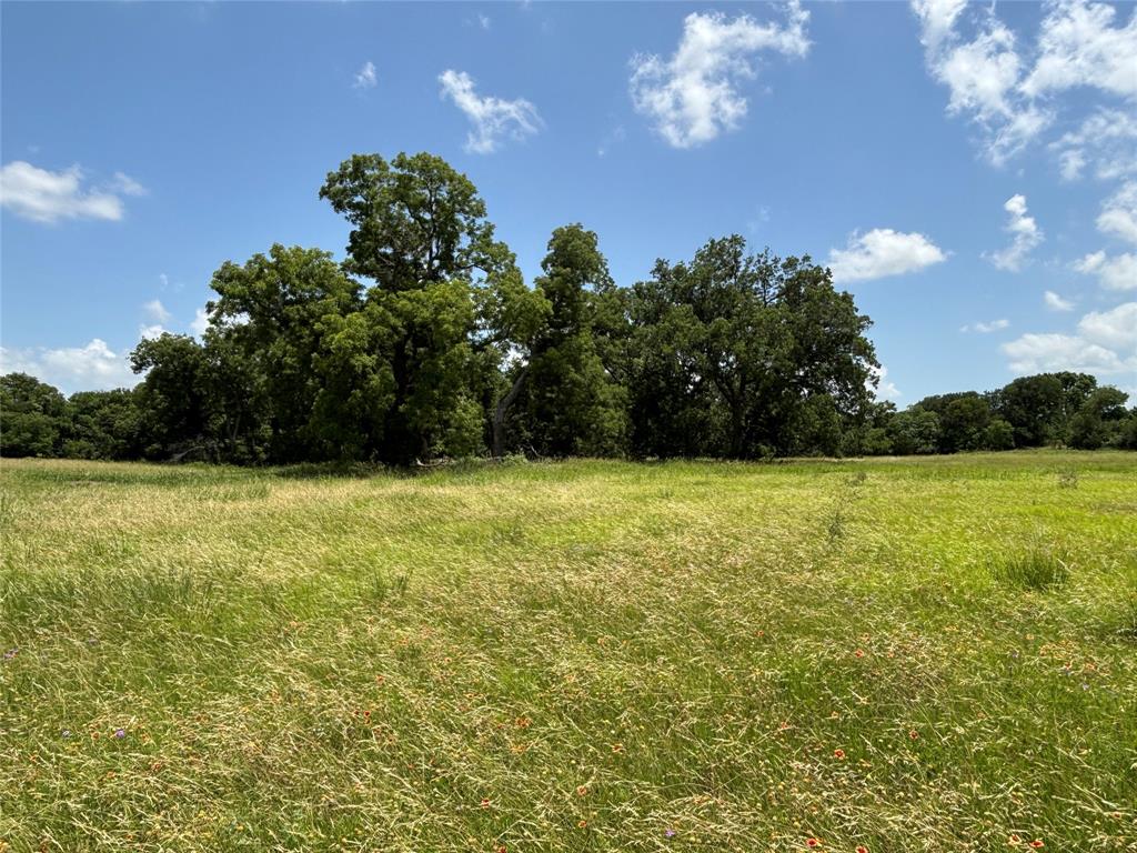 Lot 1 Chisholm Trail