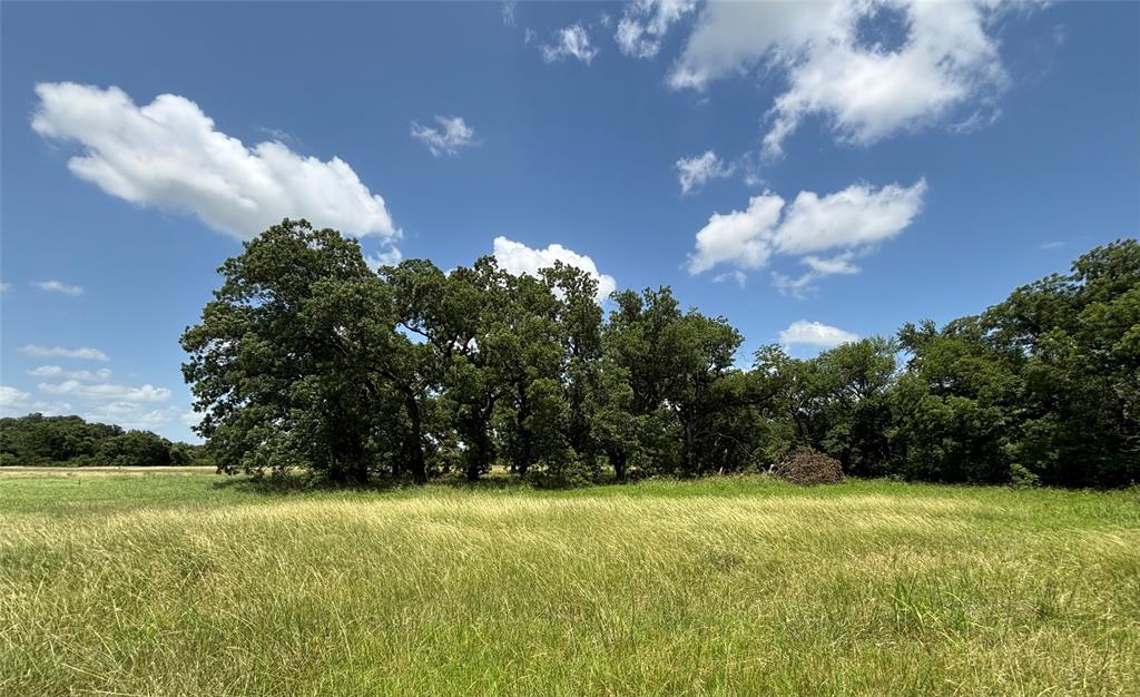 Lot 1 Chisholm Trail