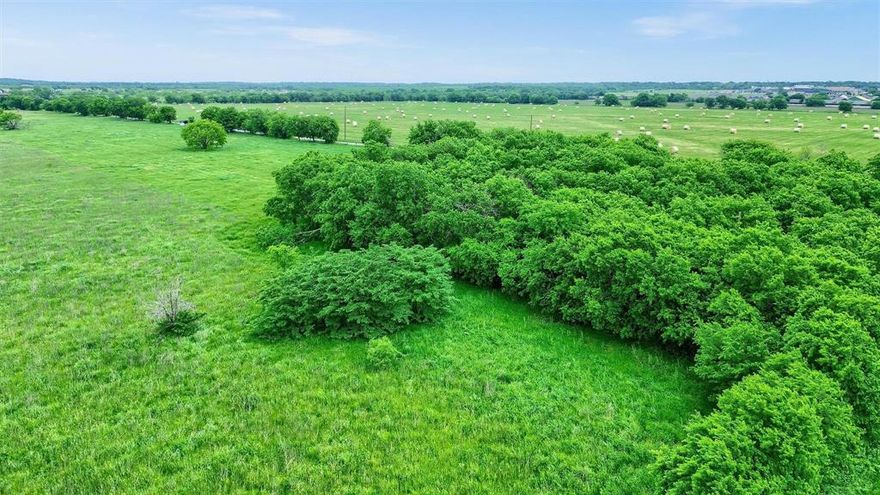 Discover the perfect 1.3-acre lot nestled in the heart of Gunter Tiger Country. This is your chance to build your dream home with county specifications while enjoying the convenience of being near the town of Gunter. It's an ideal spot to create a family home in a welcoming community. Don't miss out on this opportunity! Adjoining acreage available.