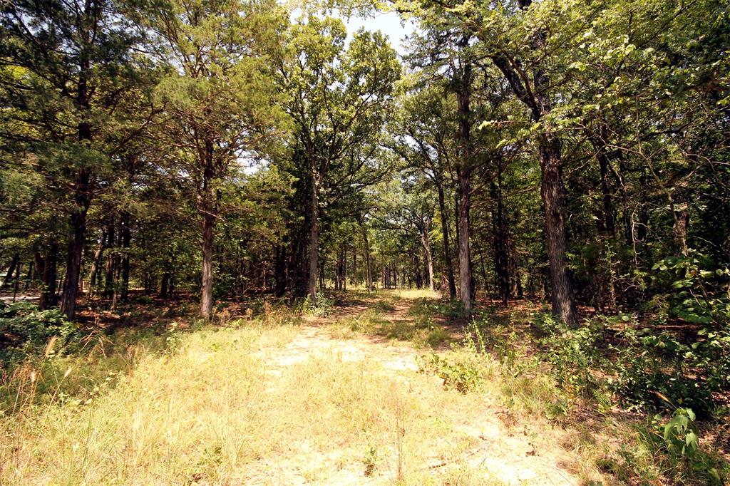 10 County Road 2263
