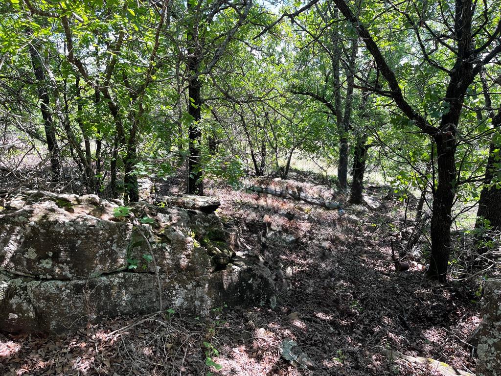 Lot 455 Ranchview Court