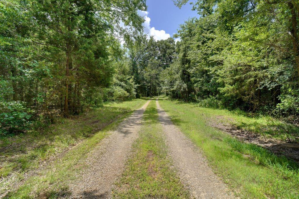 Engledow Surv Abs #181 - Residential