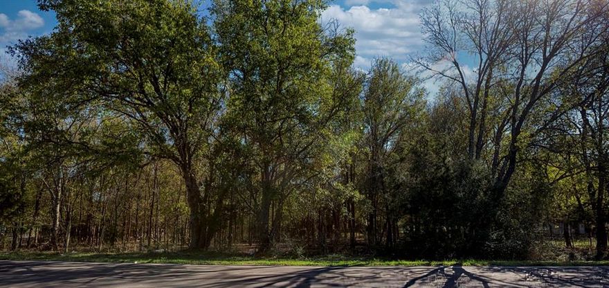 Welcome to 1712 and 1718 W. Main St. Lancaster, over half an acre between both lots, priced at $55,000 each. Seller willing to sell separately. Build your dream home with the convenience of being less than 5 minutes away from all the entertainment and shopping Lancaster has to offer. Minutes away from I-35. These vacant lots are perfect for a first time homebuyer or a builder looking to develop near all new construction homes. New construction homes down the street have all recently sold in the 400s so this calls for a great investment opportunity!