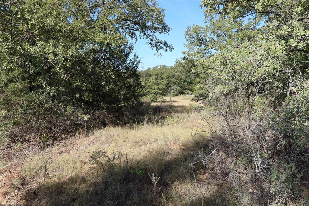 Frontier Shore Units - Land