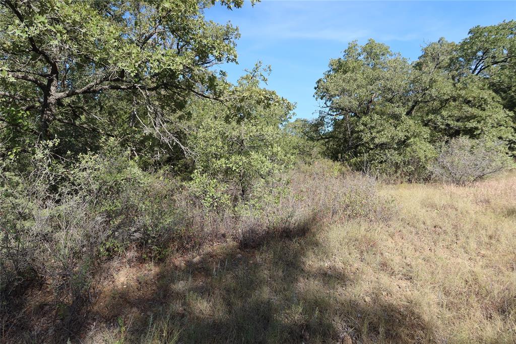 Frontier Shore Units - Land