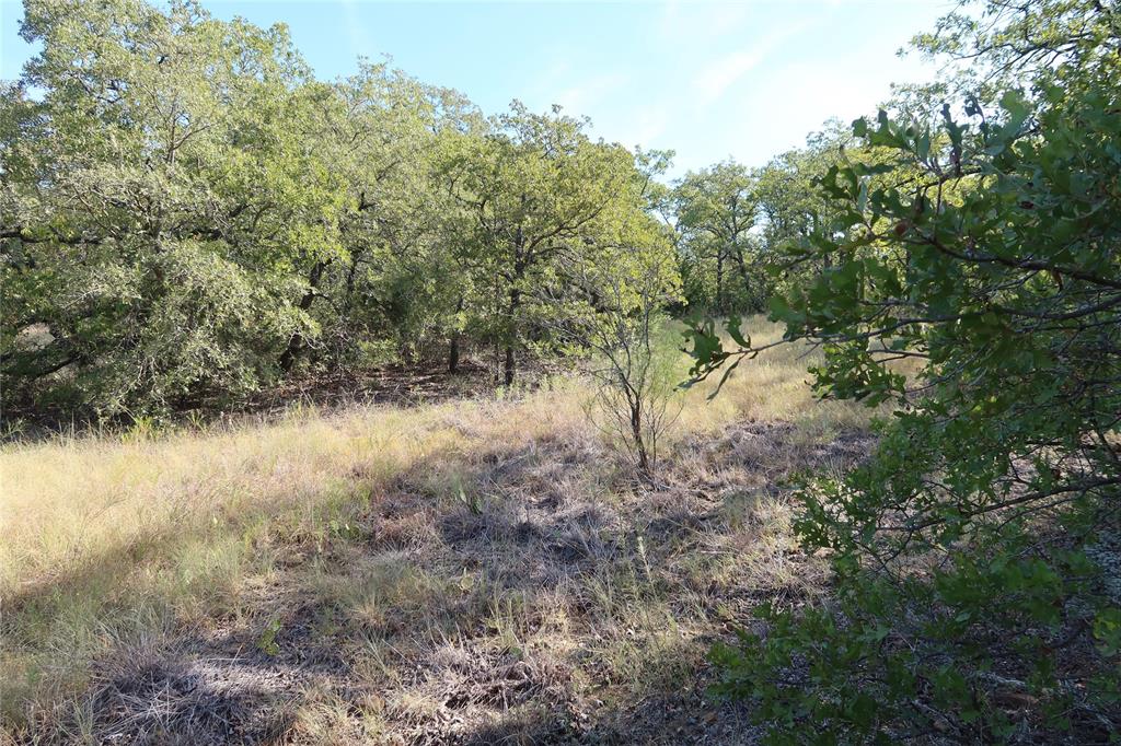 Frontier Shore Units - Land