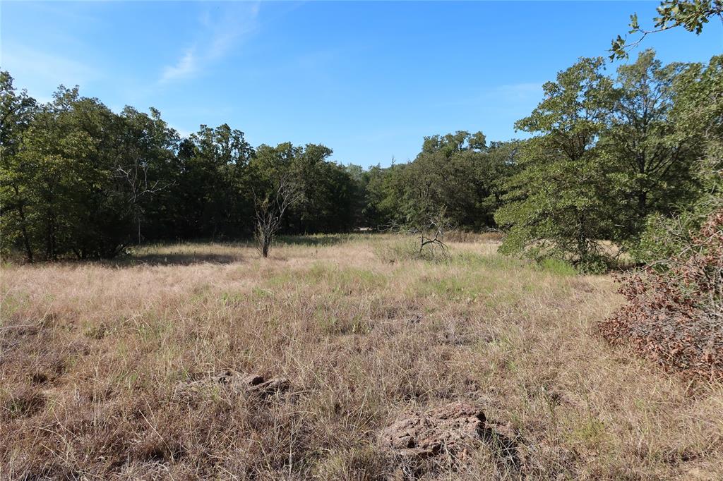 Frontier Shore Units - Land