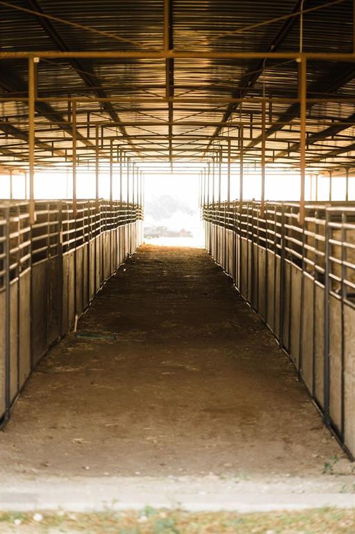 NA - Commercial Sale