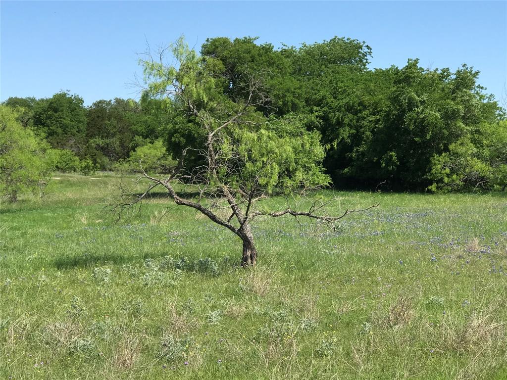 White Bluff #19 - Land