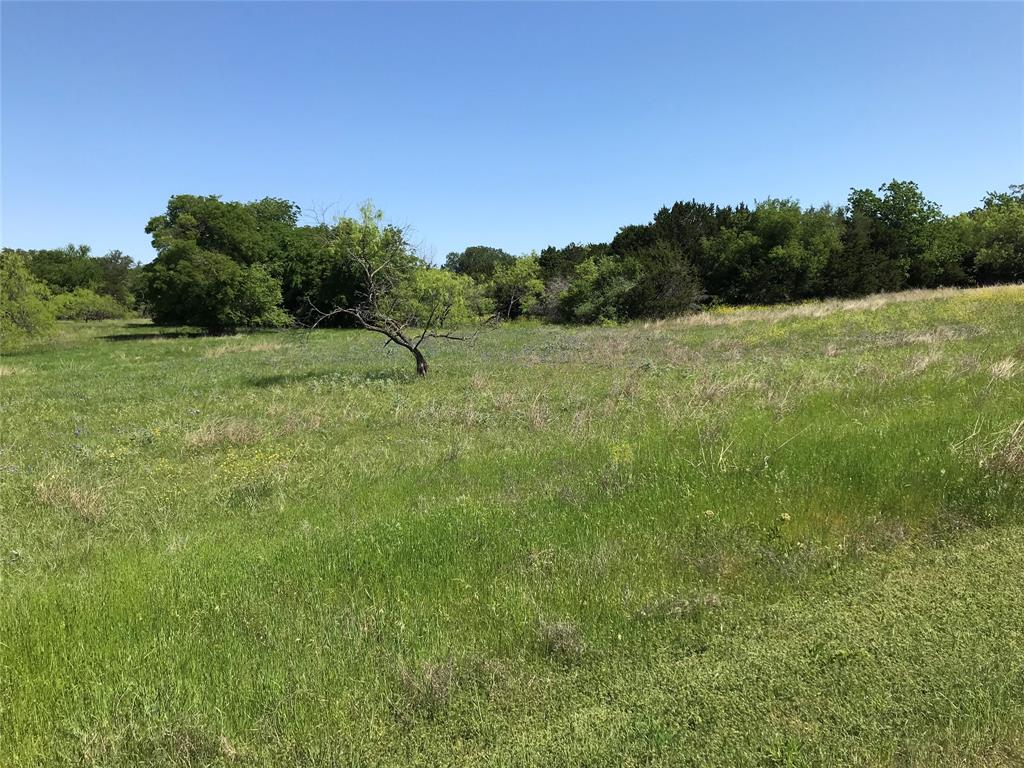 White Bluff #19 - Land