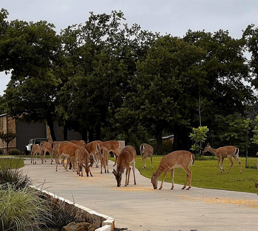 Timberlake Trails - Residential