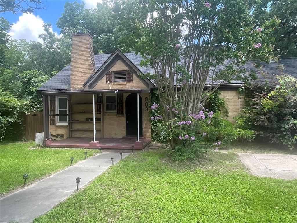803 College Street