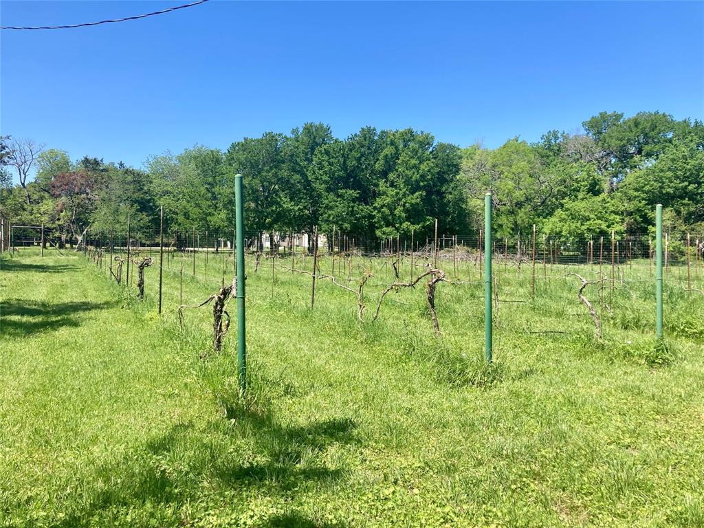 Bushee-Conley #1 - Residential