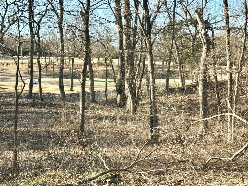 Castle Pines Phase 2 Addition - Land