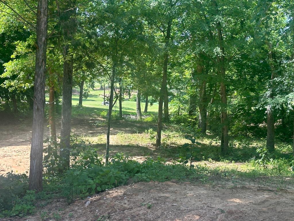 Castle Pines Phase 2 Addition - Land