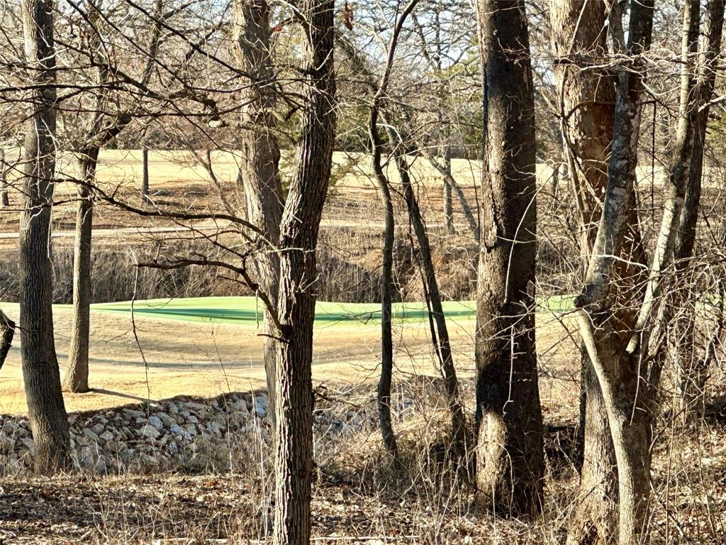 Castle Pines Phase 2 Addition - Land