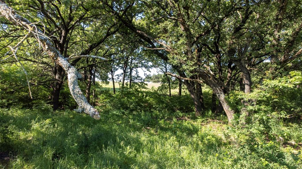 G 0812 Mccarty Jared A G0812 - Land