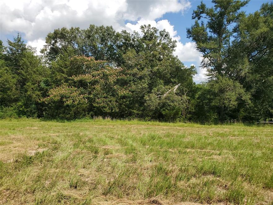 Beautiful non restricted 3 acres to make your home. Just outside the city limits. Water and electric is available at the road. Manufactured Home is okay. More lots are available. See plat. Agent is co owner. Buyer and Buyer's agent is responsible for verifying all information.