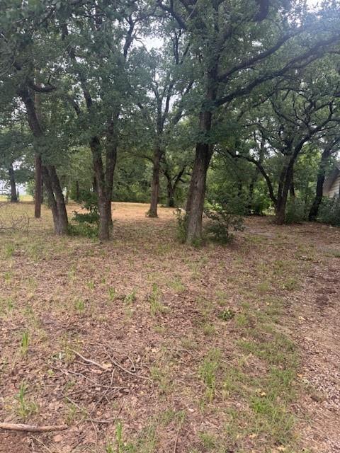 6355 Newt Patterson Road A