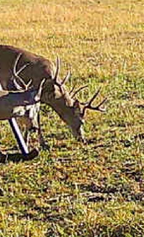 TBD County Road 4145