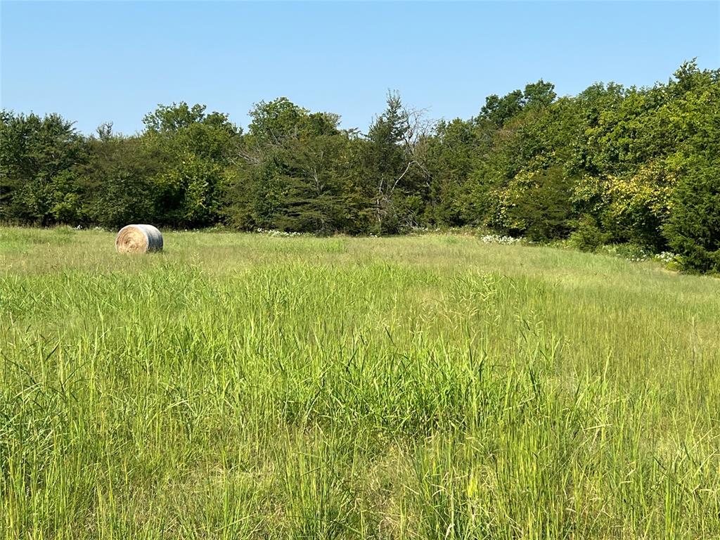 TBD County Road 4145