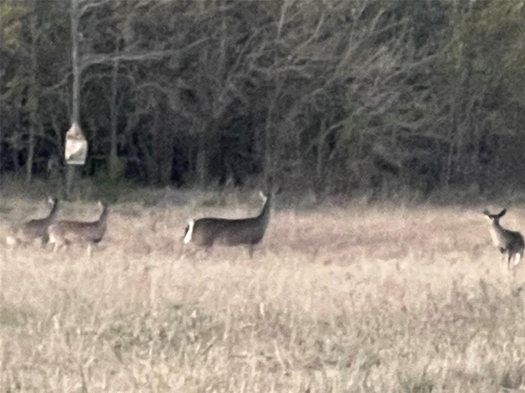 TBD County Road 4145