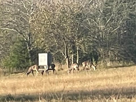 TBD County Road 4145 Cooper TX 75432