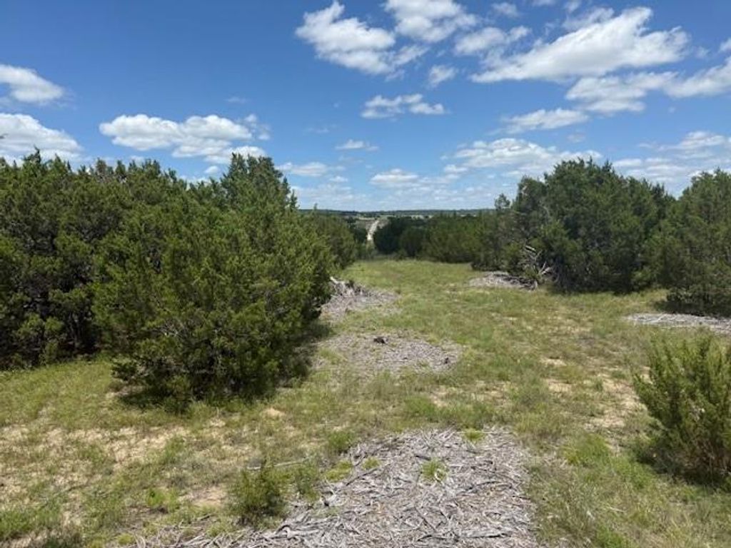 Photo of 1320 Private Road 16021, Jonesboro, TX 76538 (MLS # 21306248)