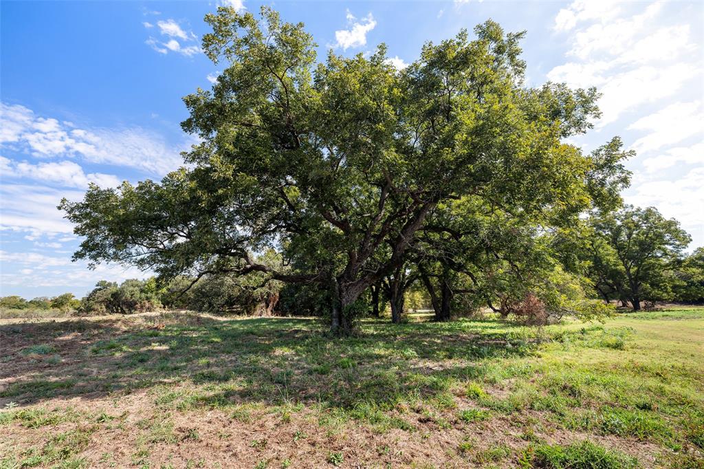 TBD Overton Court